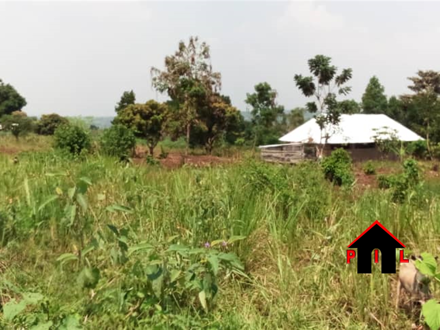 Residential Land for sale in Busiika Kalangala