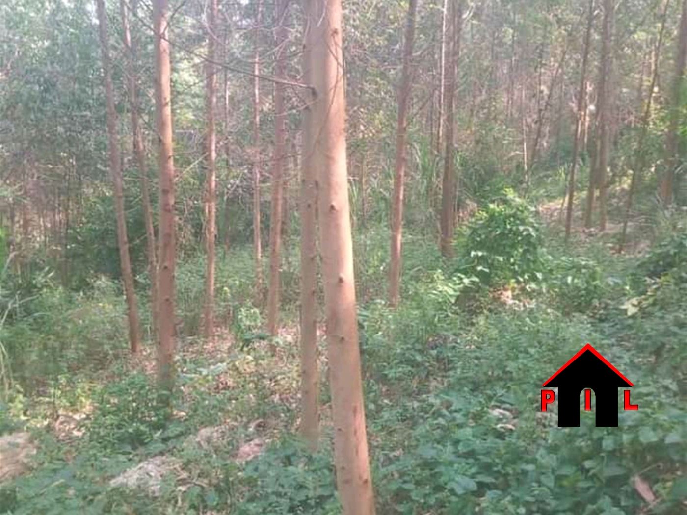 Agricultural Land for sale in Kakiri Wakiso