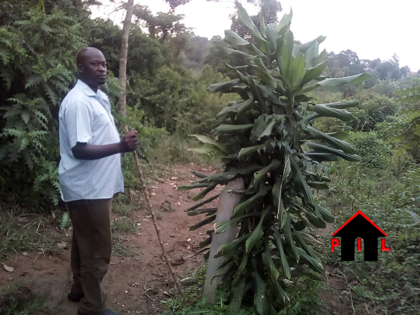 Agricultural Land for sale in Kasangati Kampala