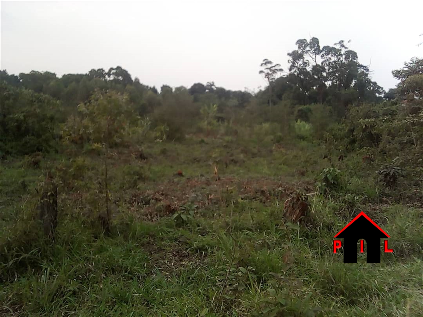 Agricultural Land for sale in Kasangati Kampala
