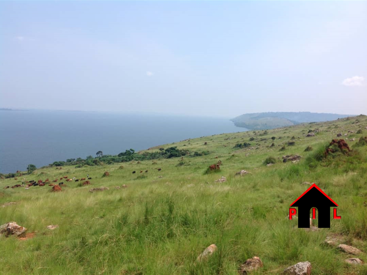 Agricultural Land for sale in Kyaggwe Buyikwe