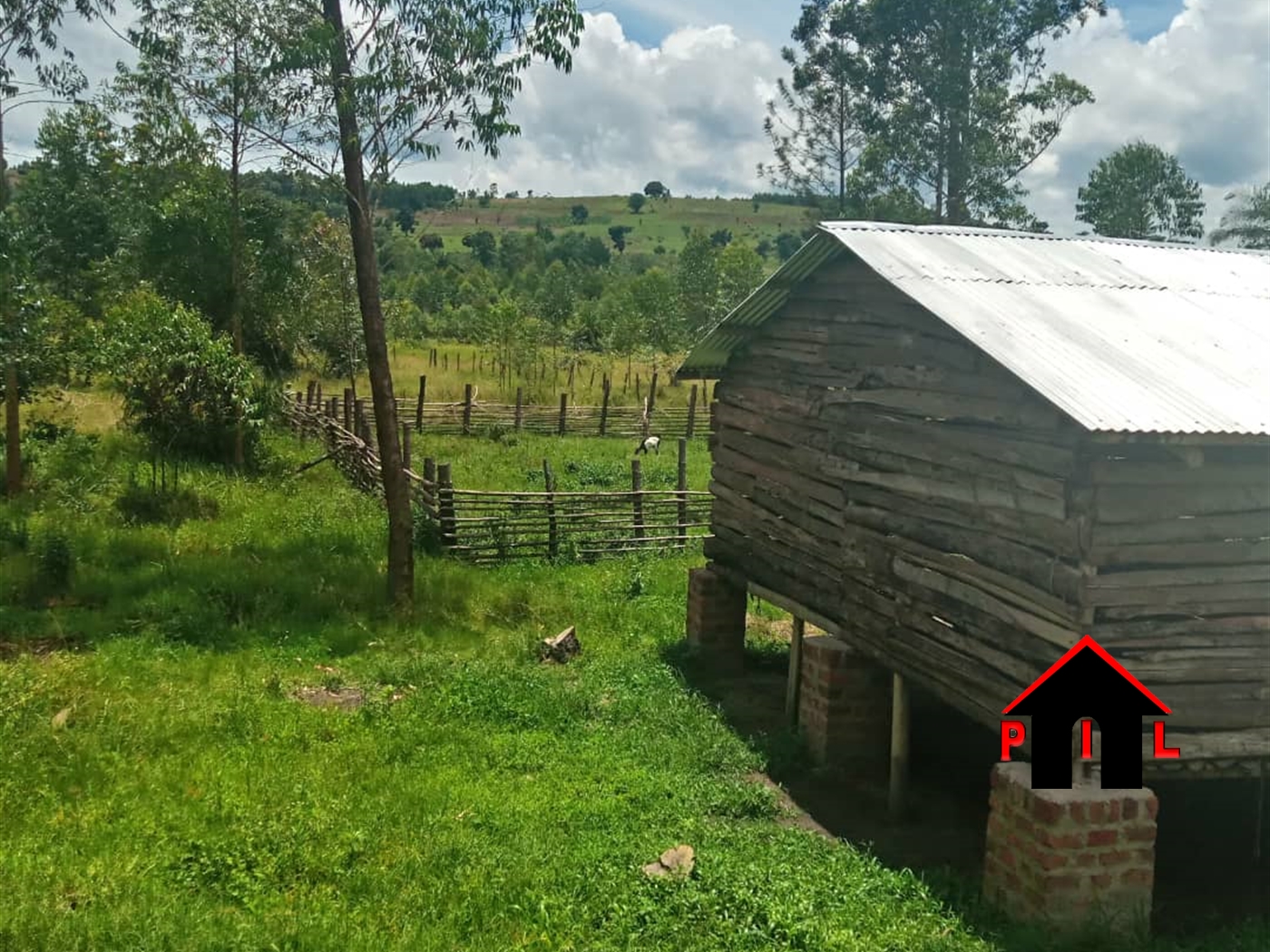 Agricultural Land for sale in Kibuza Kiruhura