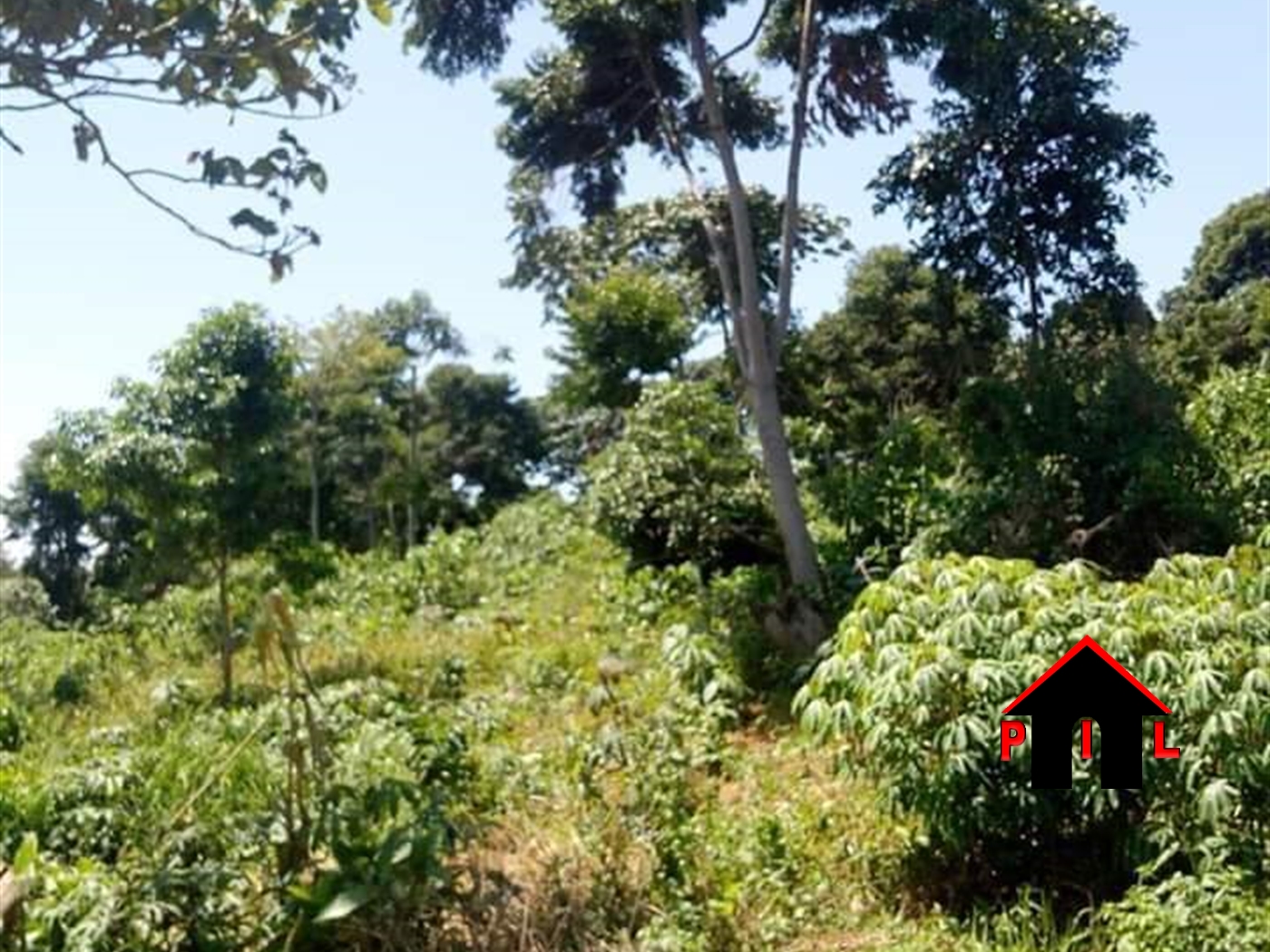 Agricultural Land for sale in Nanguna Buyikwe