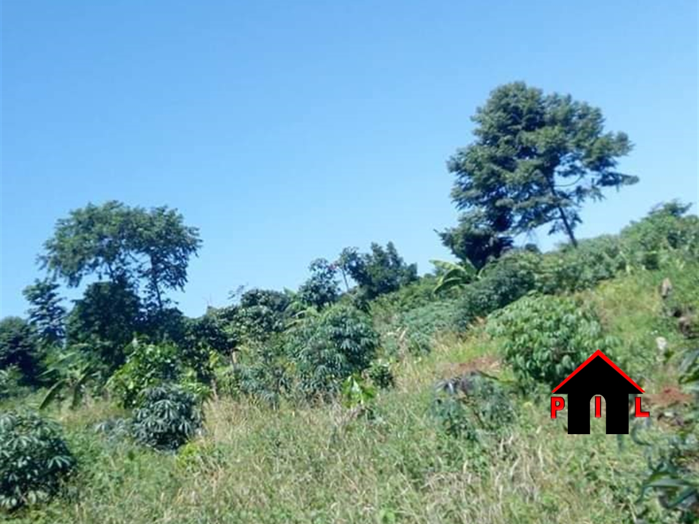 Agricultural Land for sale in Nanguna Buyikwe