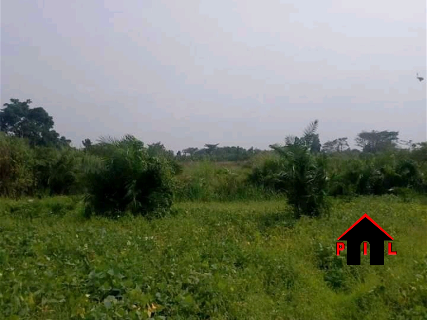 Agricultural Land for sale in Mulogoma Nakaseke