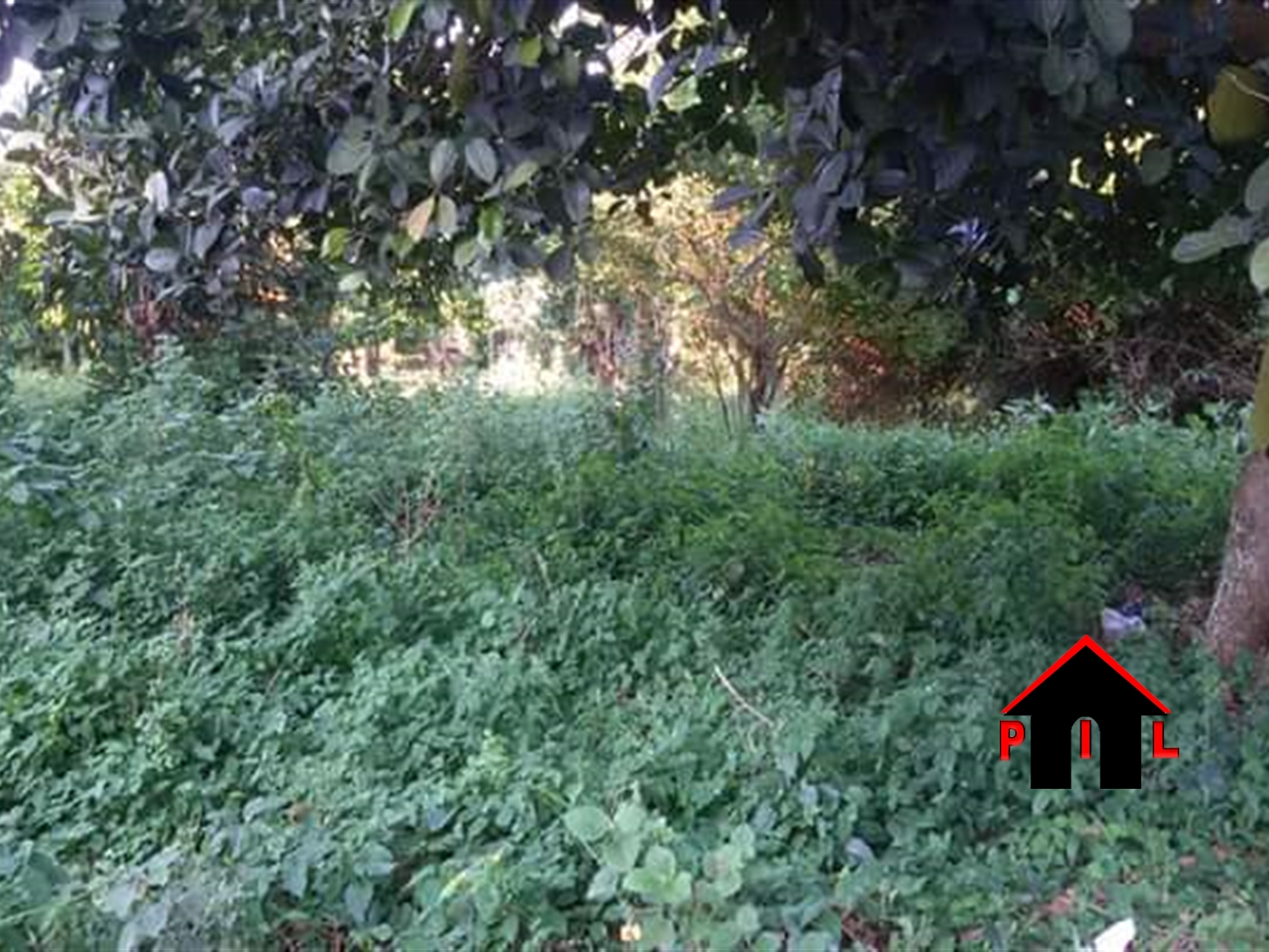 Agricultural Land for sale in Kiwenda Wakiso