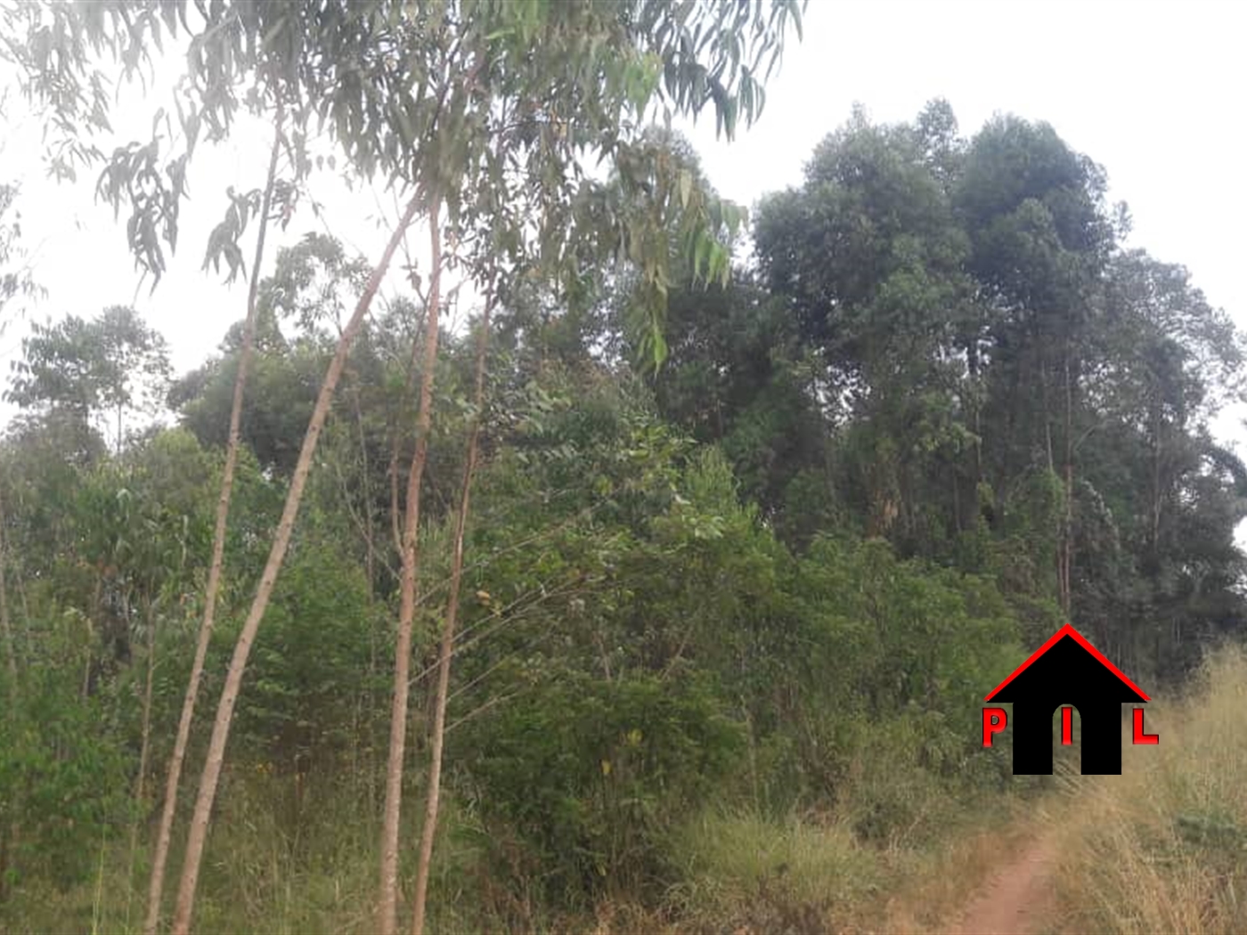 Agricultural Land for sale in Kiwenda Wakiso