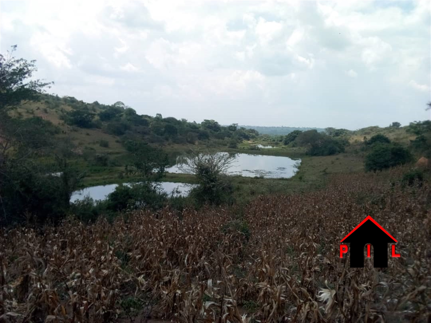 Agricultural Land for sale in Mbilizi Masaka