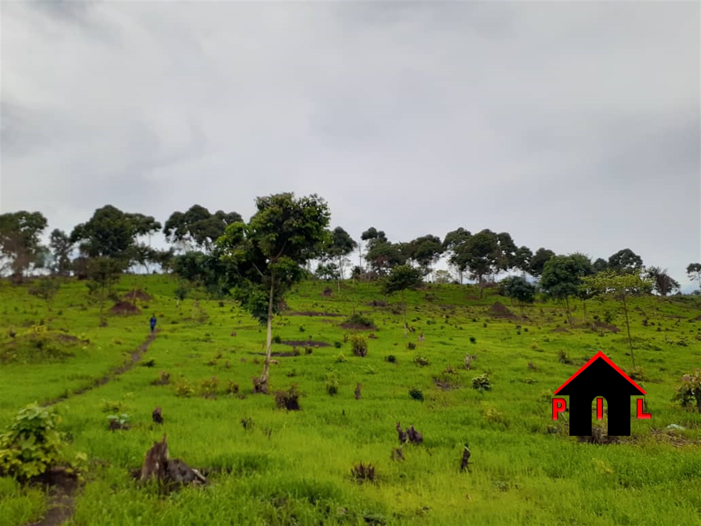Commercial Land for sale in Kisigula Buyikwe