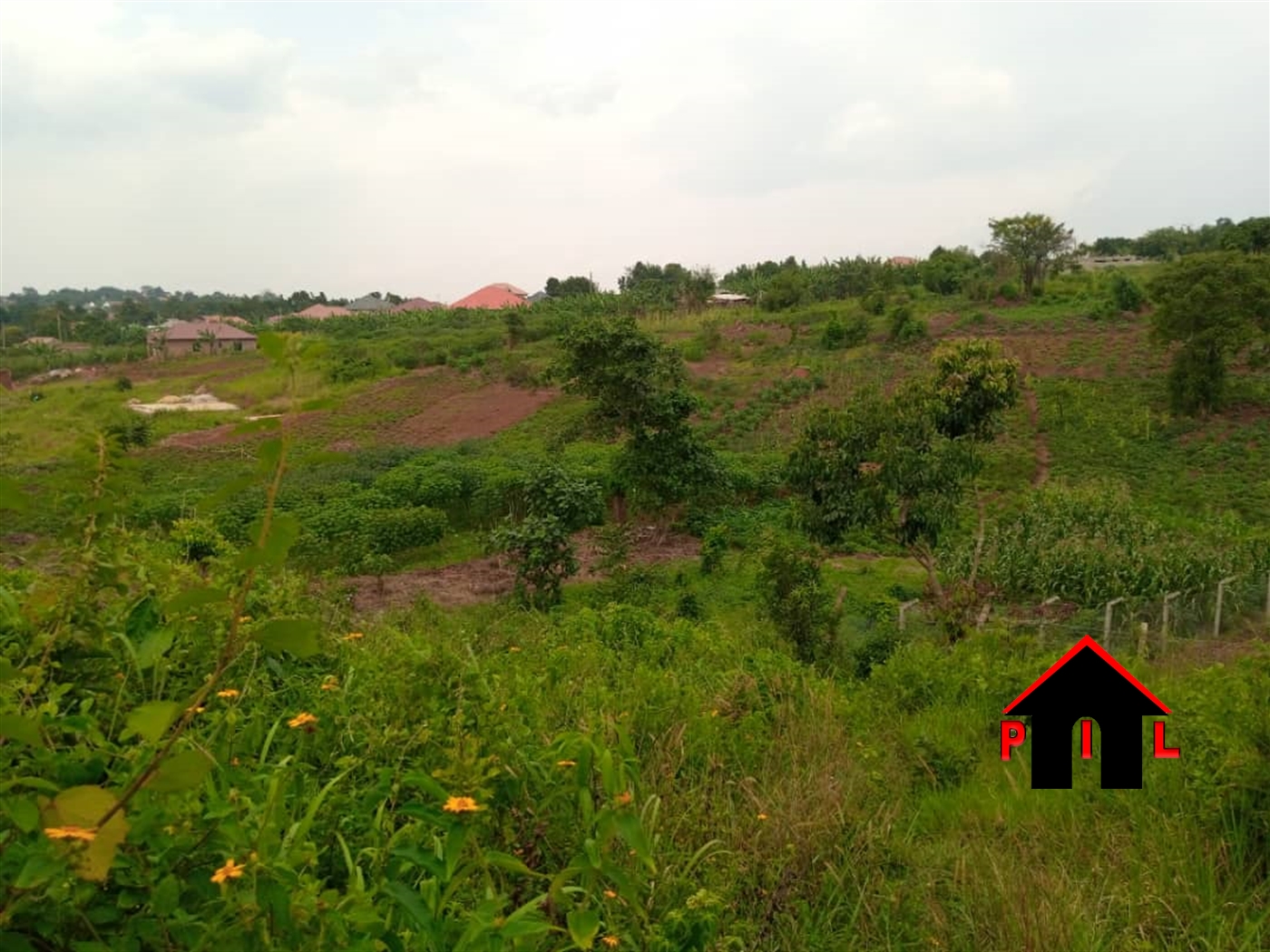 Residential Land for sale in Namusela Wakiso