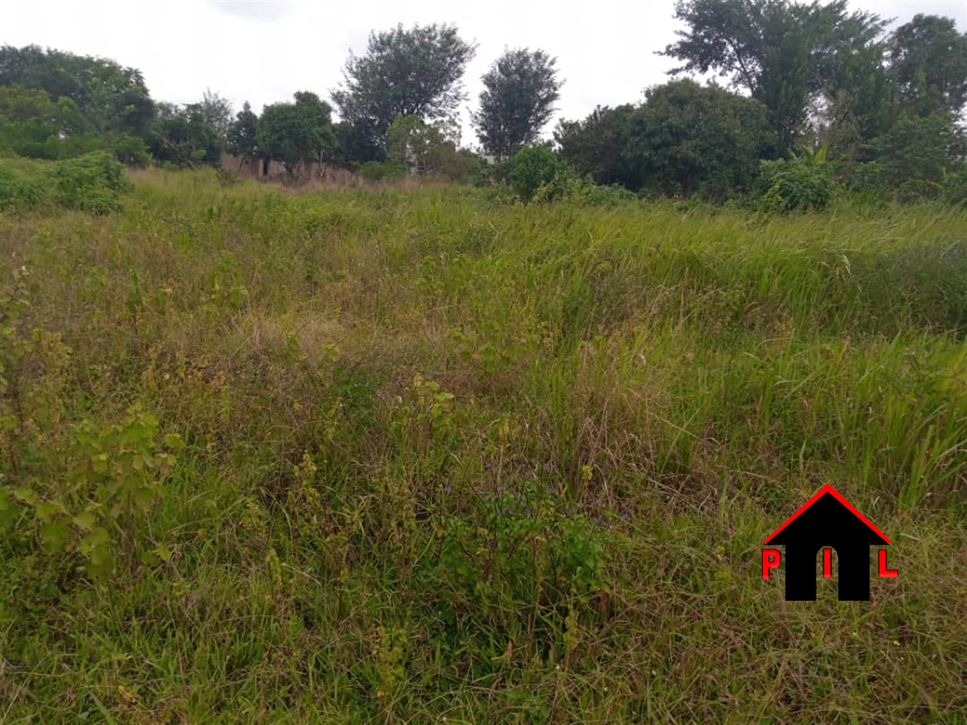 Residential Land for sale in Namusela Wakiso