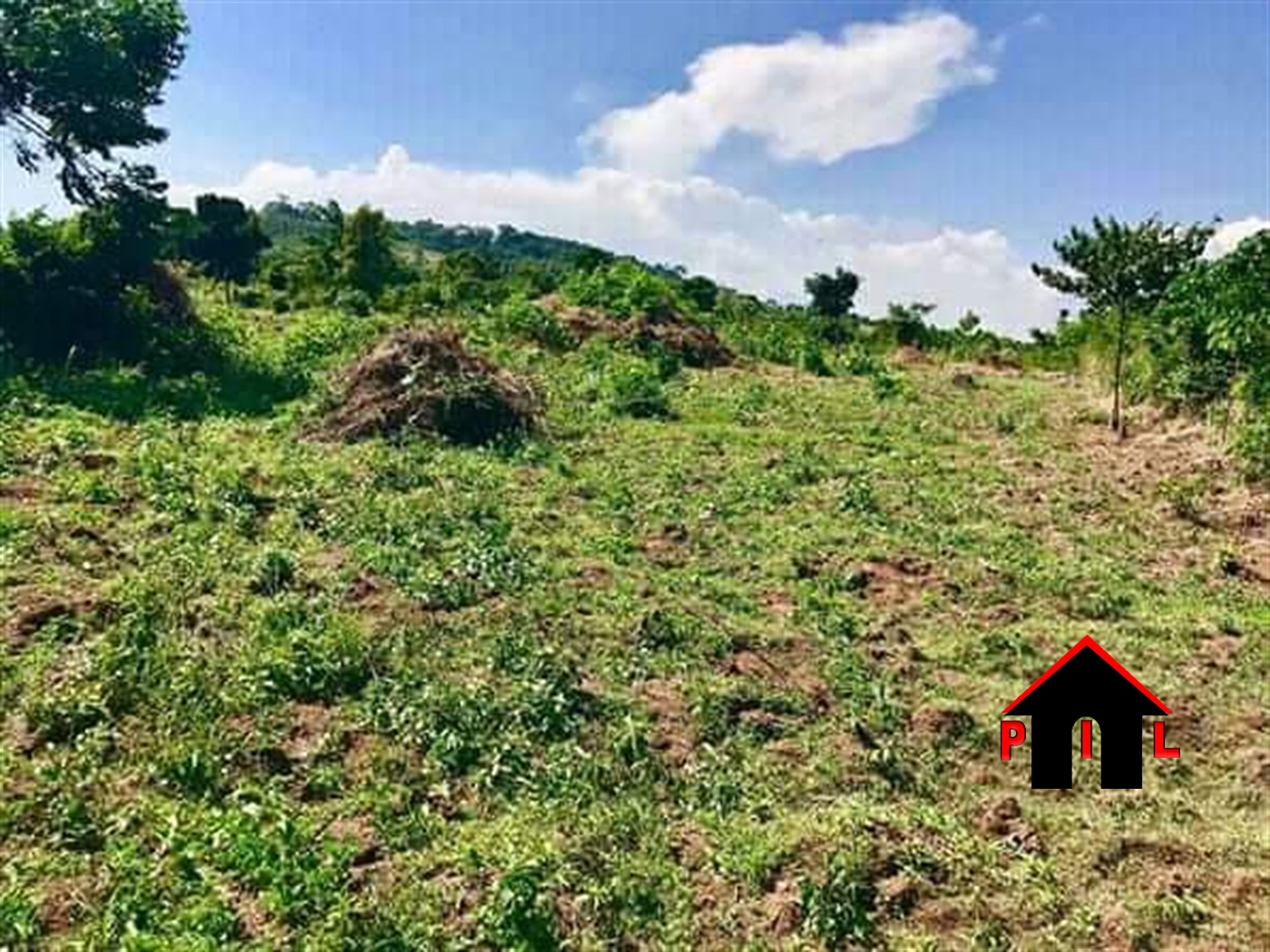 Agricultural Land for sale in Bukuya Mubende