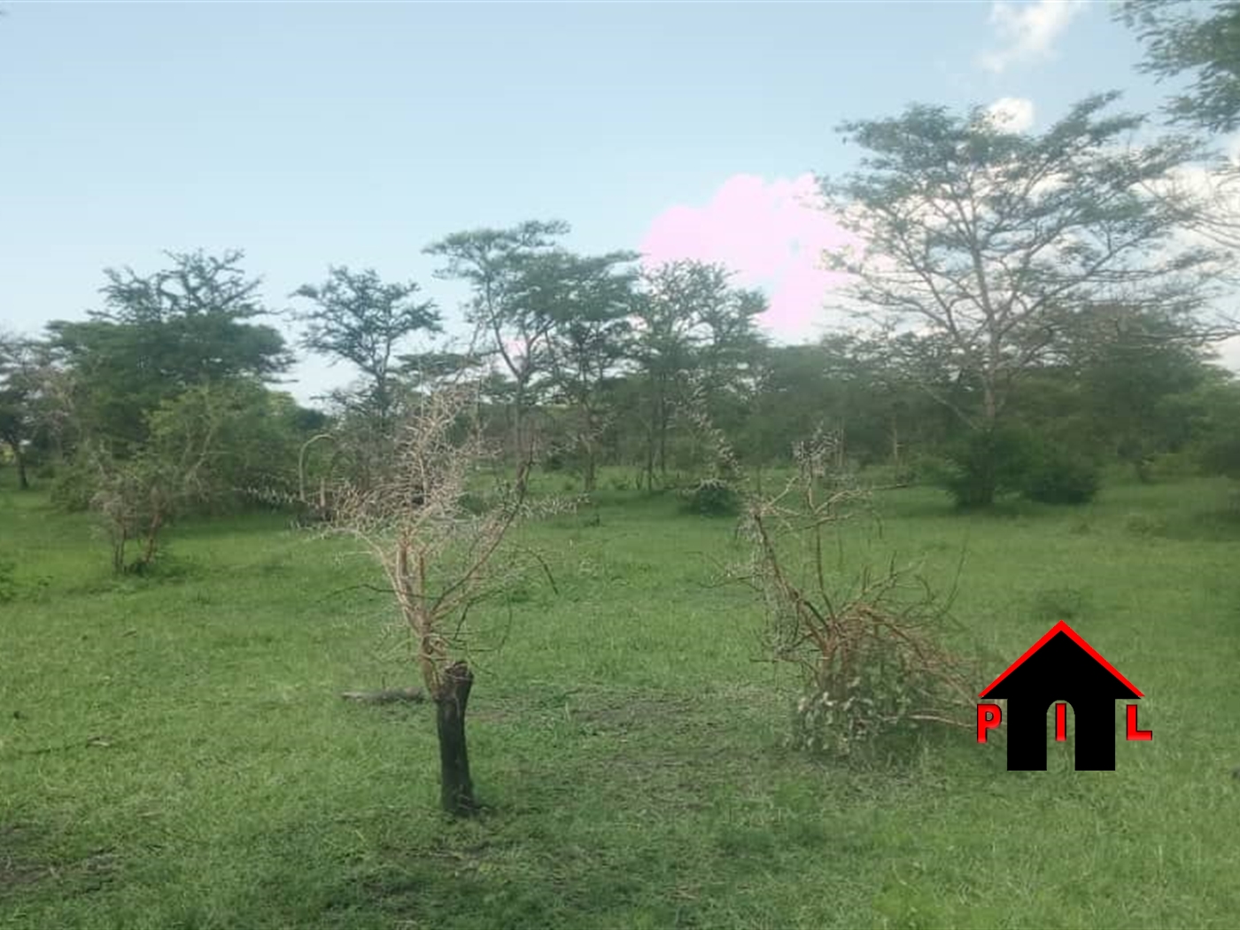 Agricultural Land for sale in Bukuya Mubende