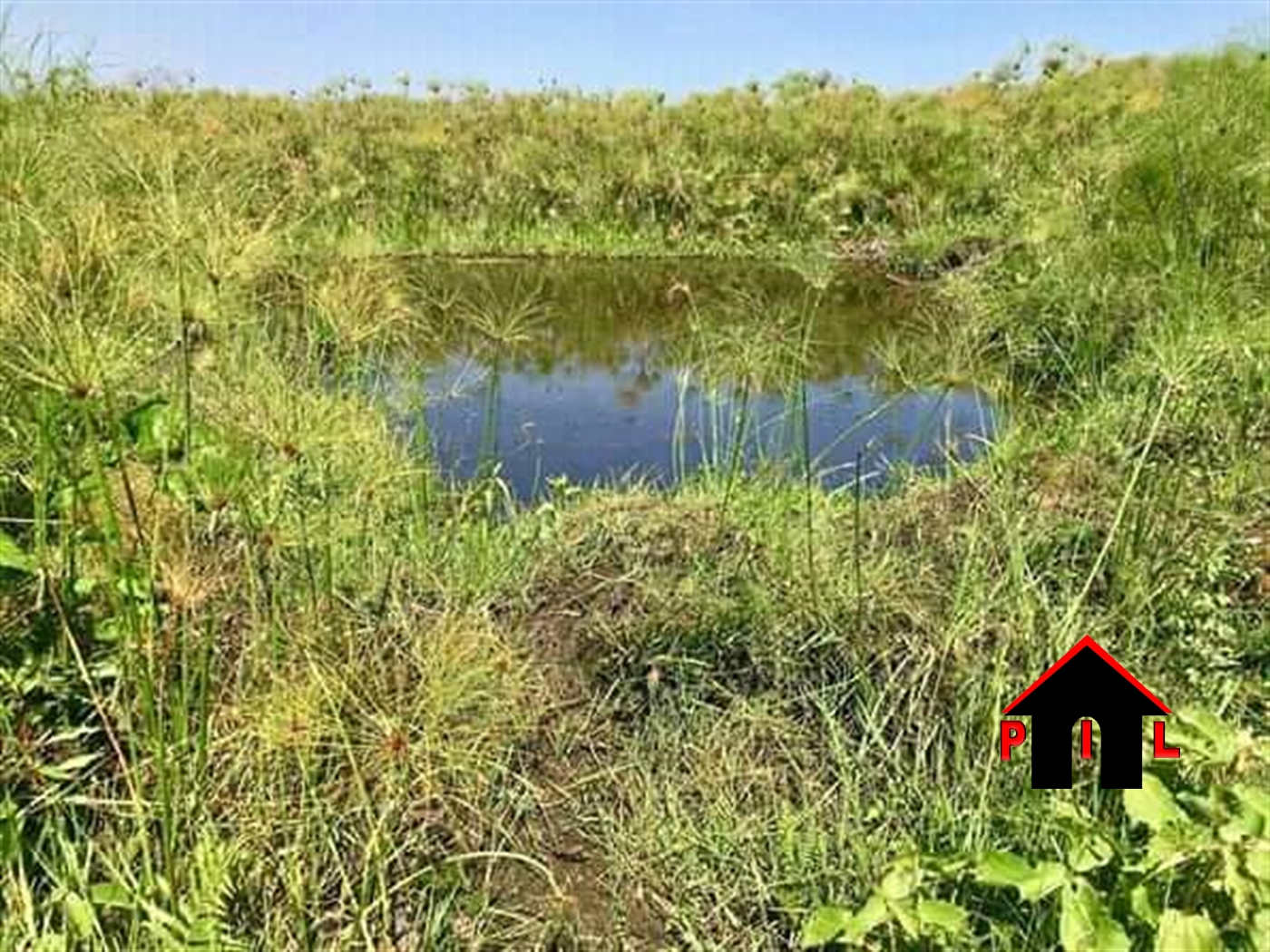 Agricultural Land for sale in Bukuya Mubende