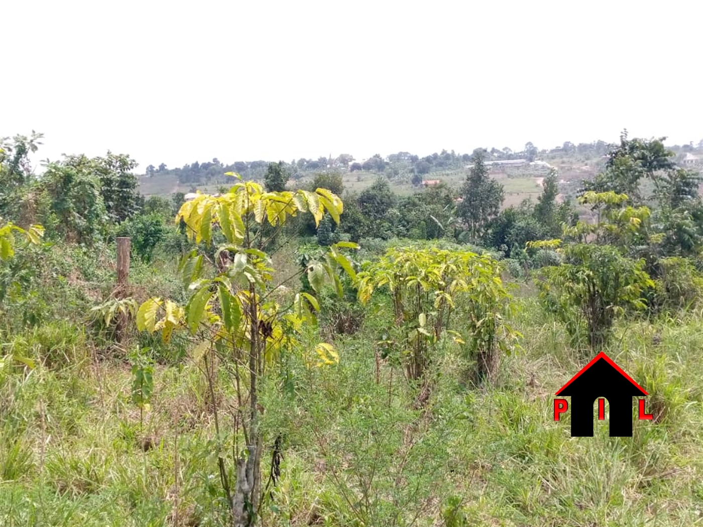 Residential Land for sale in Gombe Wakiso