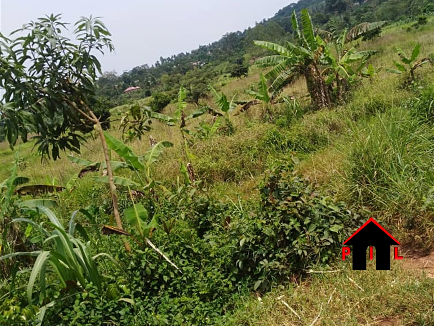 Agricultural Land for sale in Kisoga Wakiso