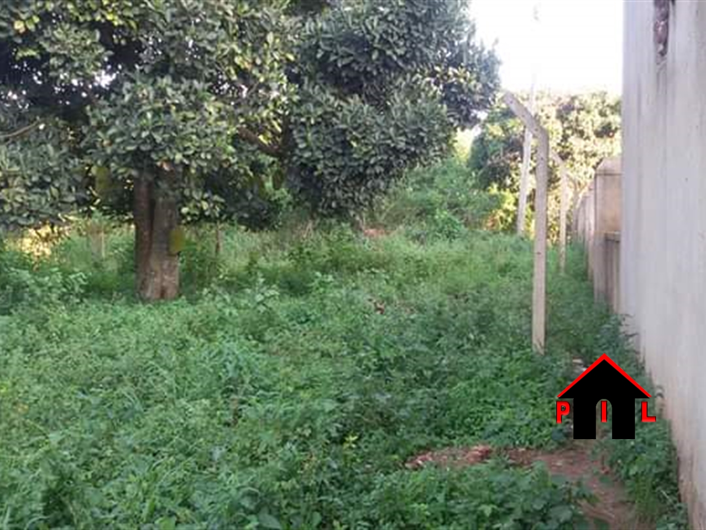 Agricultural Land for sale in Kitwe Kayunga