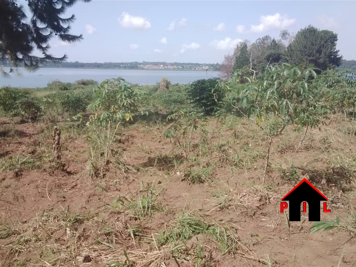 Agricultural Land for sale in Bukasa Bugiri