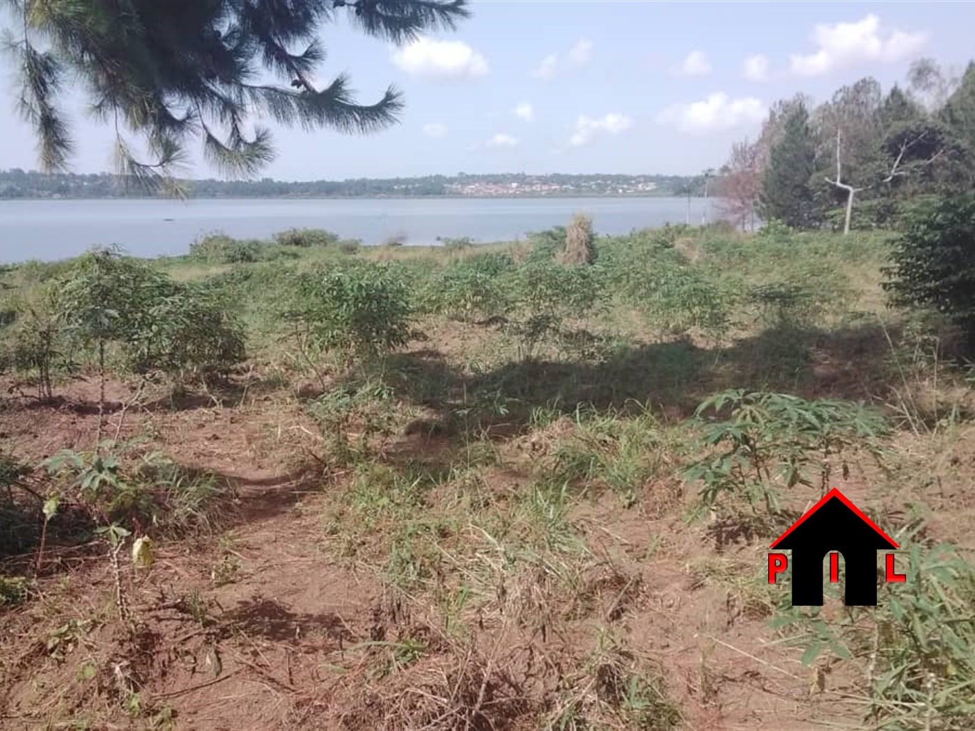 Agricultural Land for sale in Bukasa Bugiri