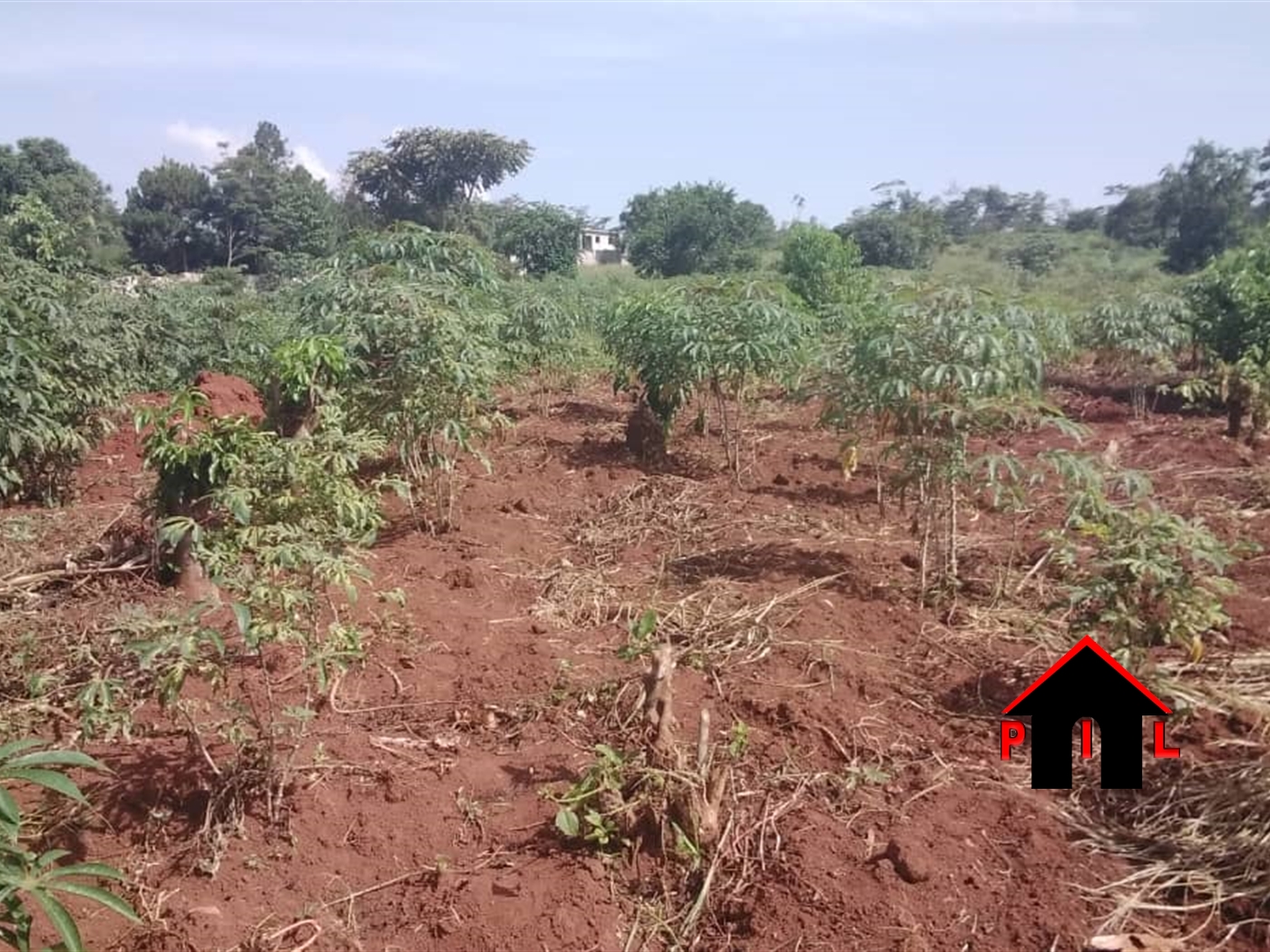 Agricultural Land for sale in Bukasa Bugiri