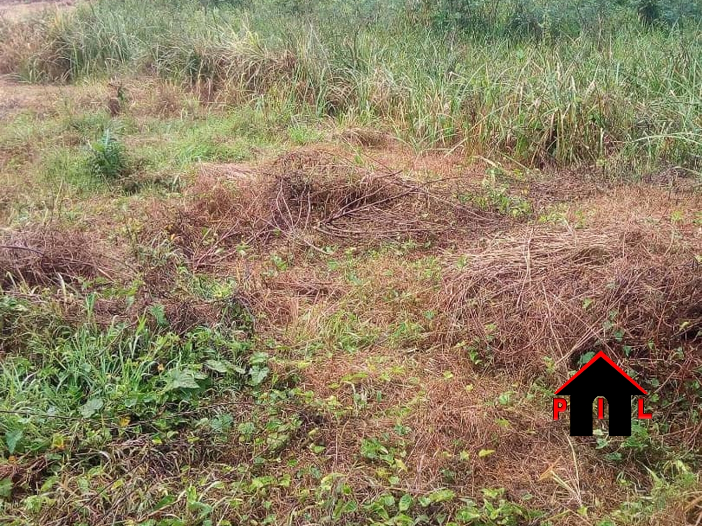 Residential Land for sale in Sonde Wakiso