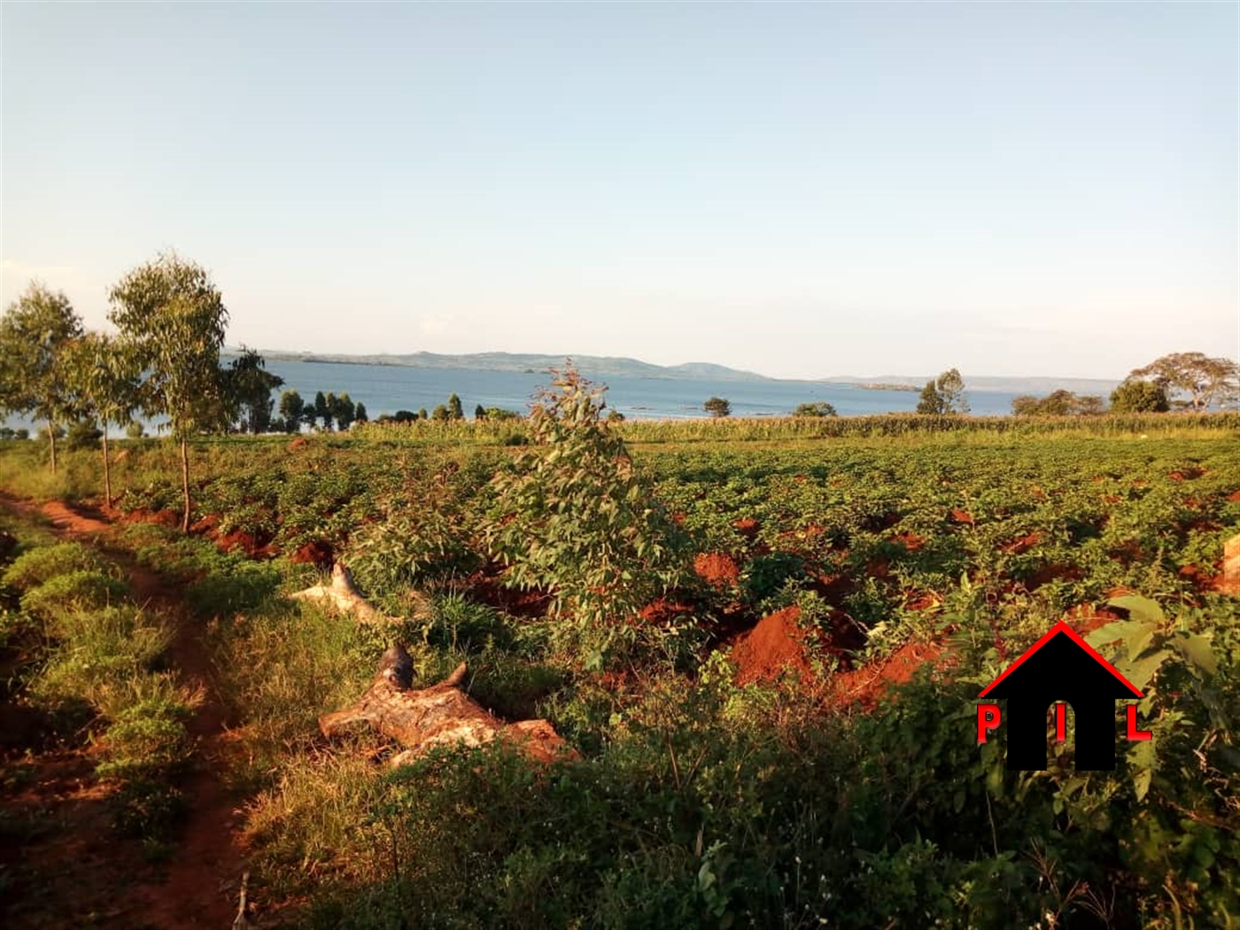 Agricultural Land for sale in Bikonzi Masindi