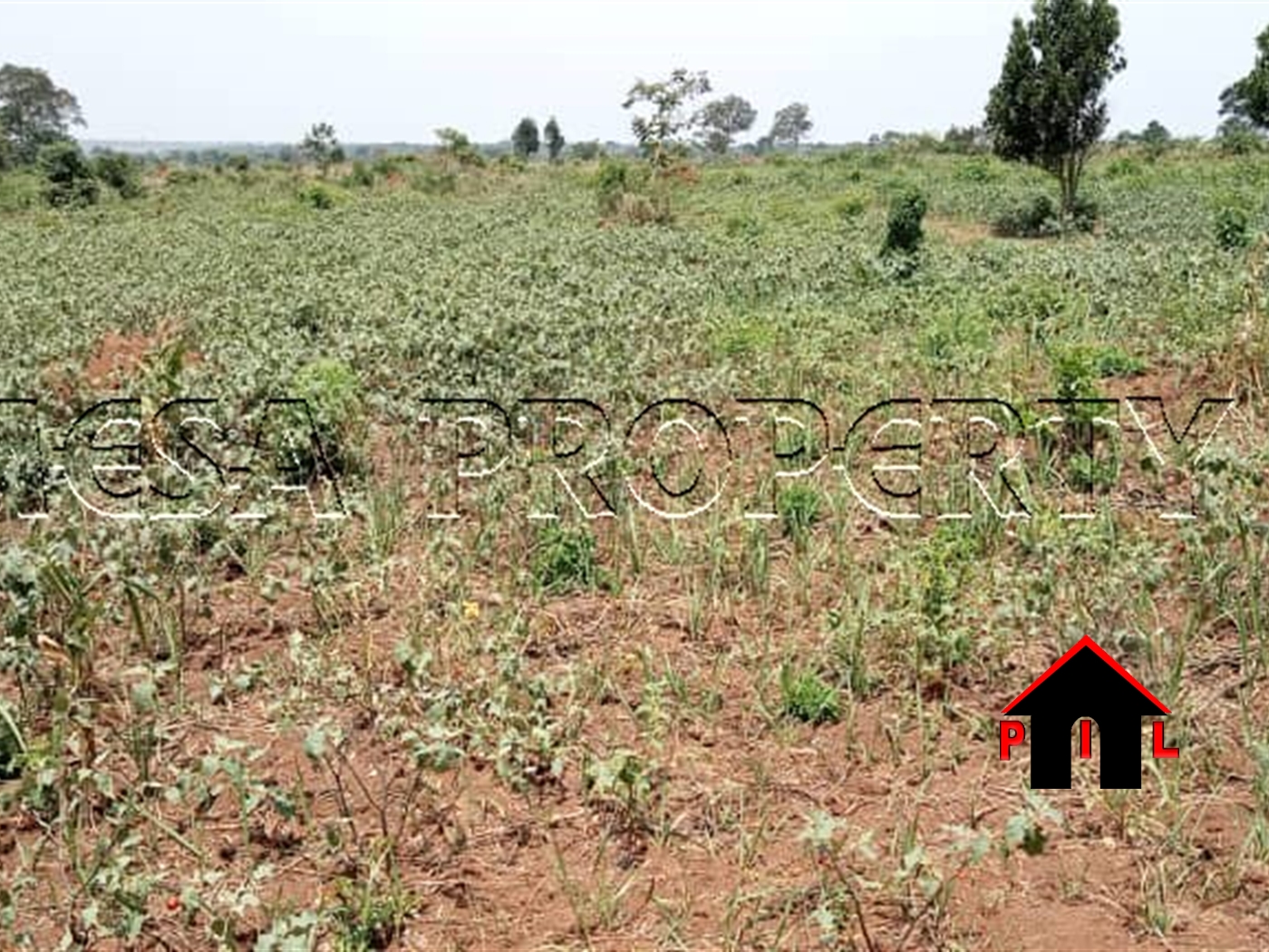 Residential Land for sale in Kisaasi Kampala