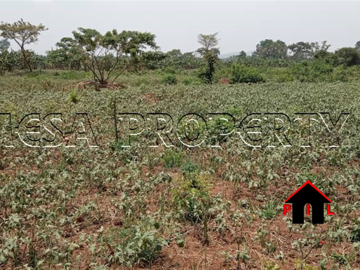 Residential Land for sale in Kisaasi Kampala