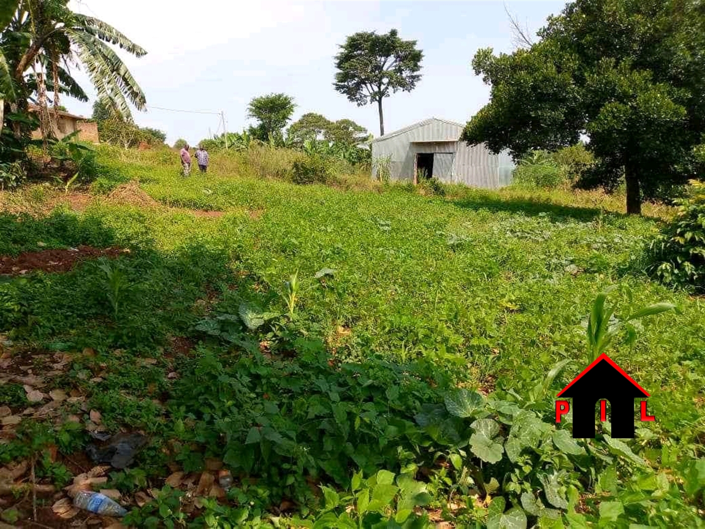 Agricultural Land for sale in Kasanjje Wakiso