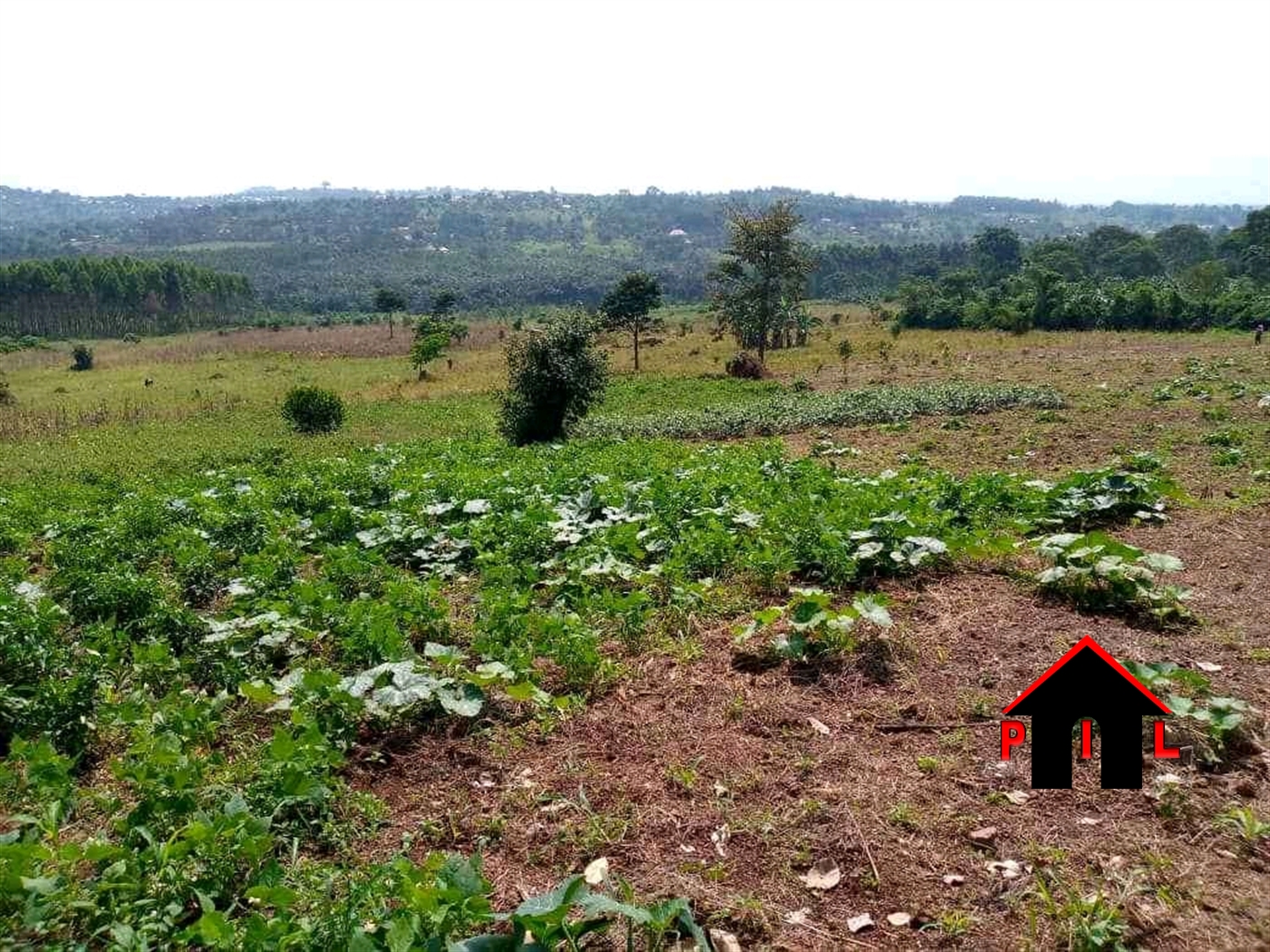 Agricultural Land for sale in Kasanjje Wakiso