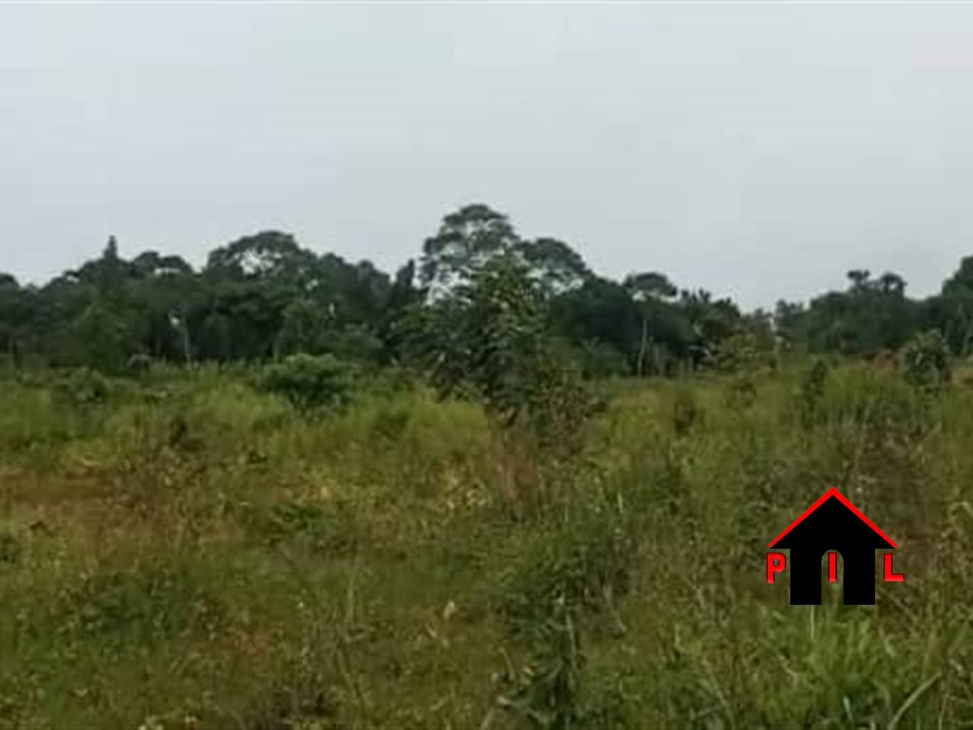 Agricultural Land for sale in Ssekamuli Luwero
