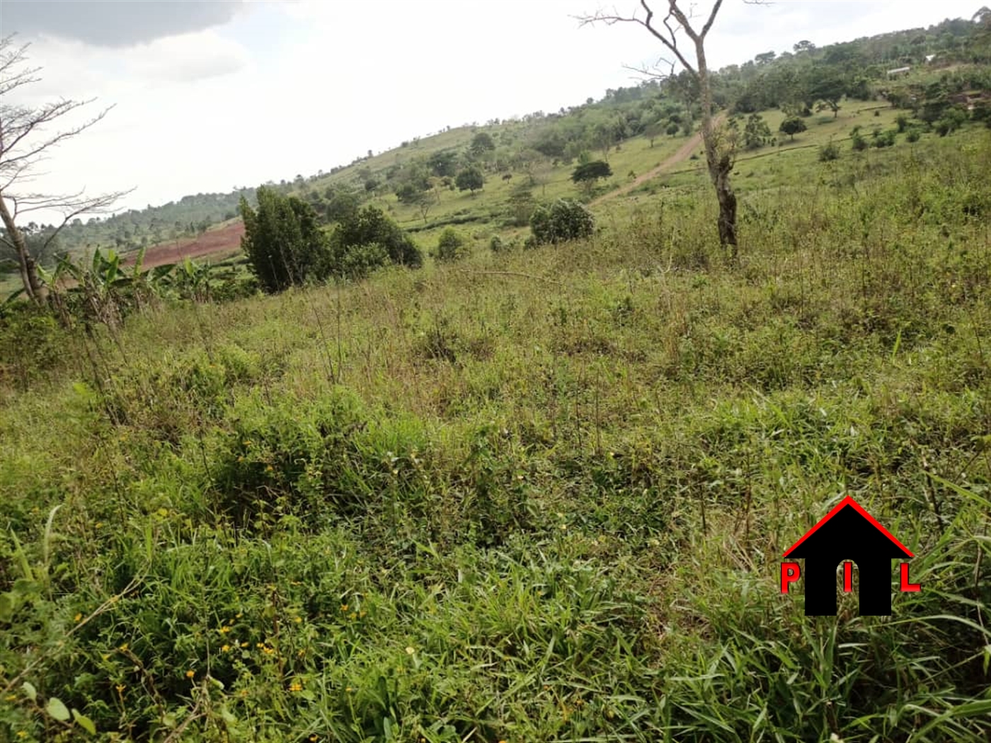 Residential Land for sale in Kawuku Wakiso