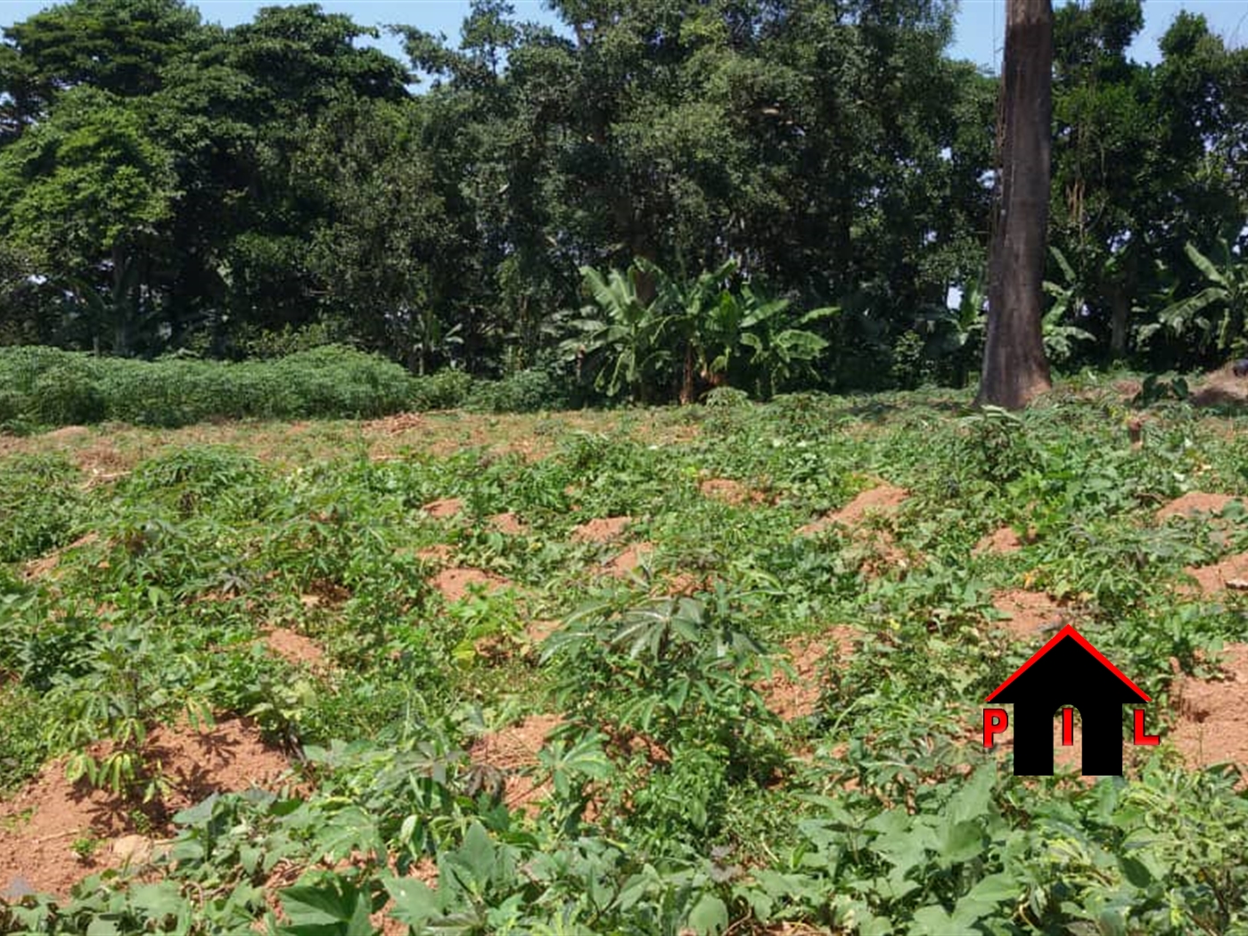 Agricultural Land for sale in Lukaya Masaka