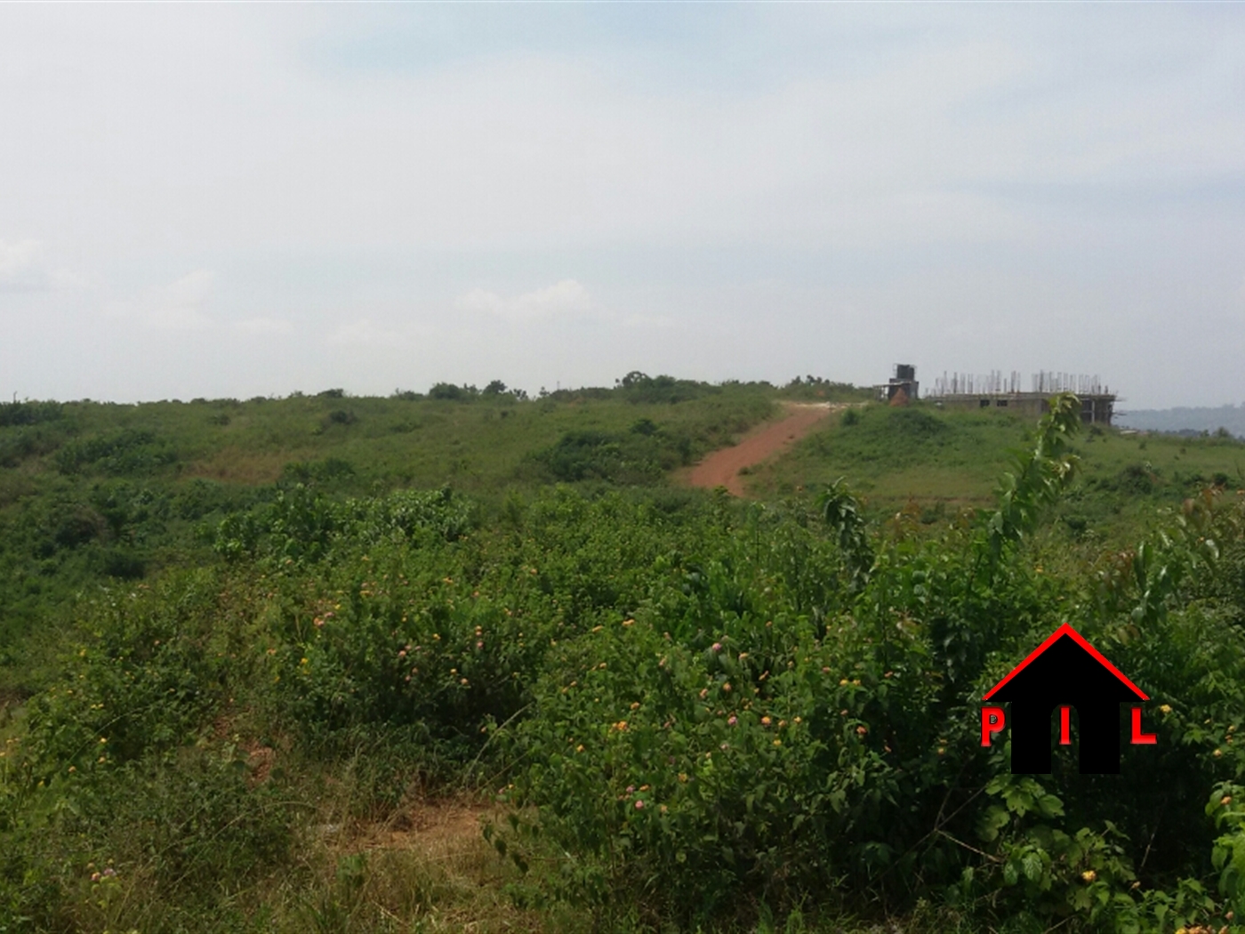 Commercial Land for sale in Kikyuusa Luweero