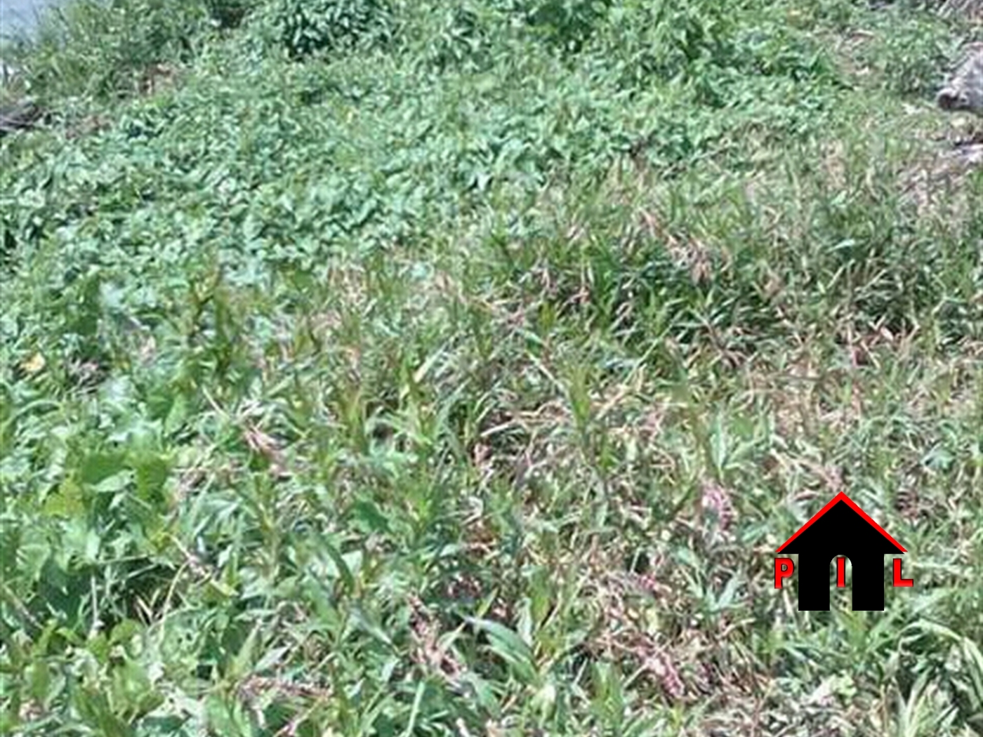 Agricultural Land for sale in Kanoni Gomba