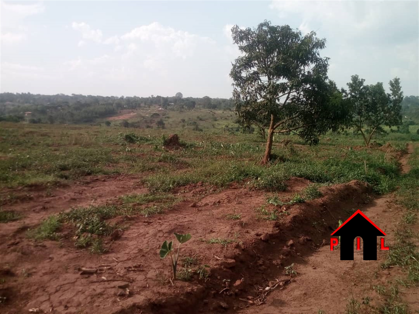Commercial Land for sale in Bukuya Mubende