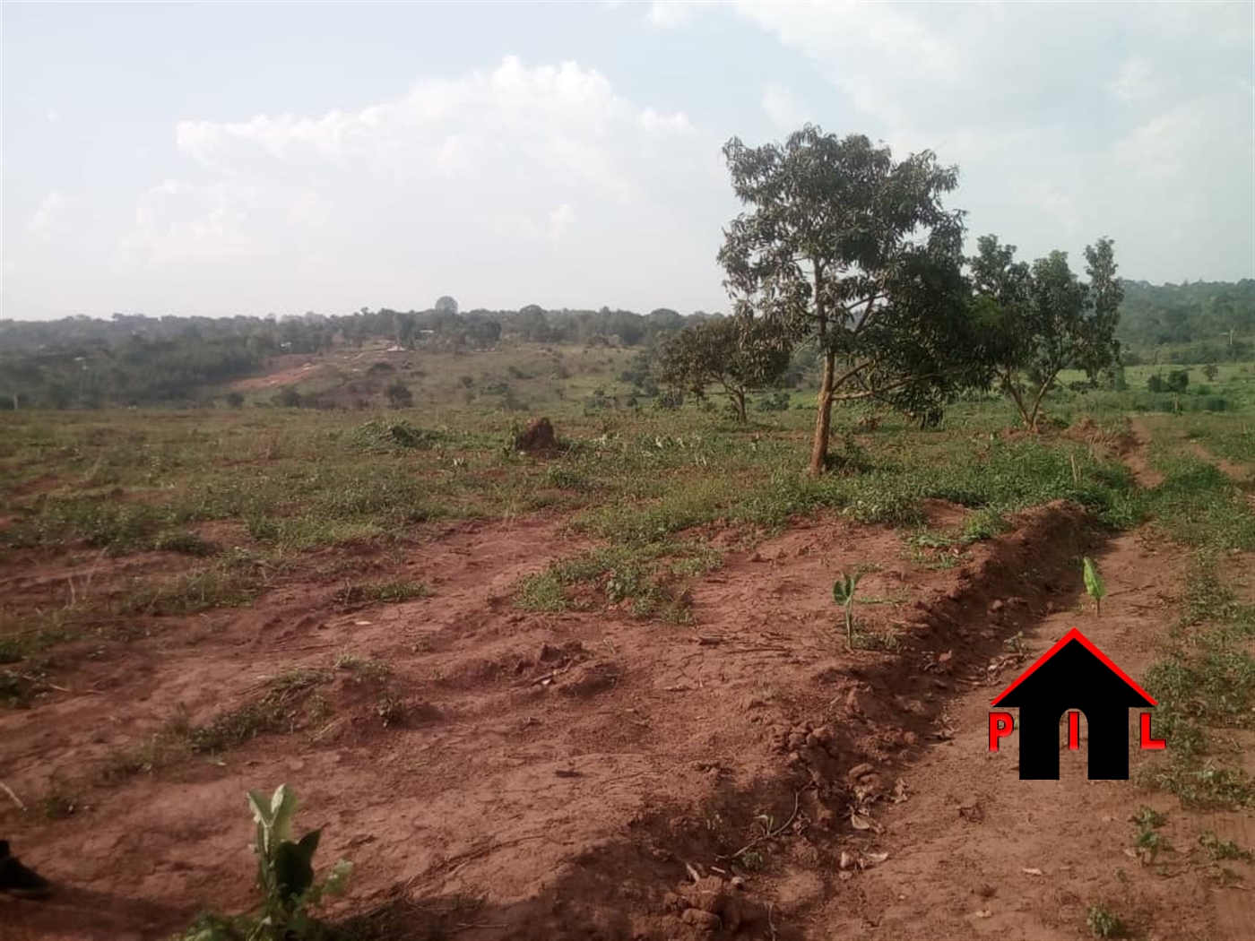 Commercial Land for sale in Bukuya Mubende