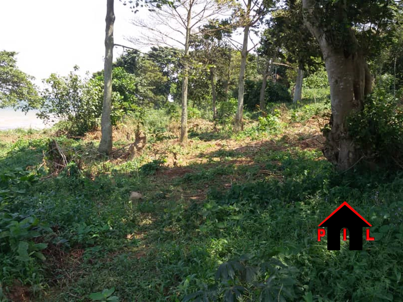 Commercial Land for sale in Kiiti Masaka