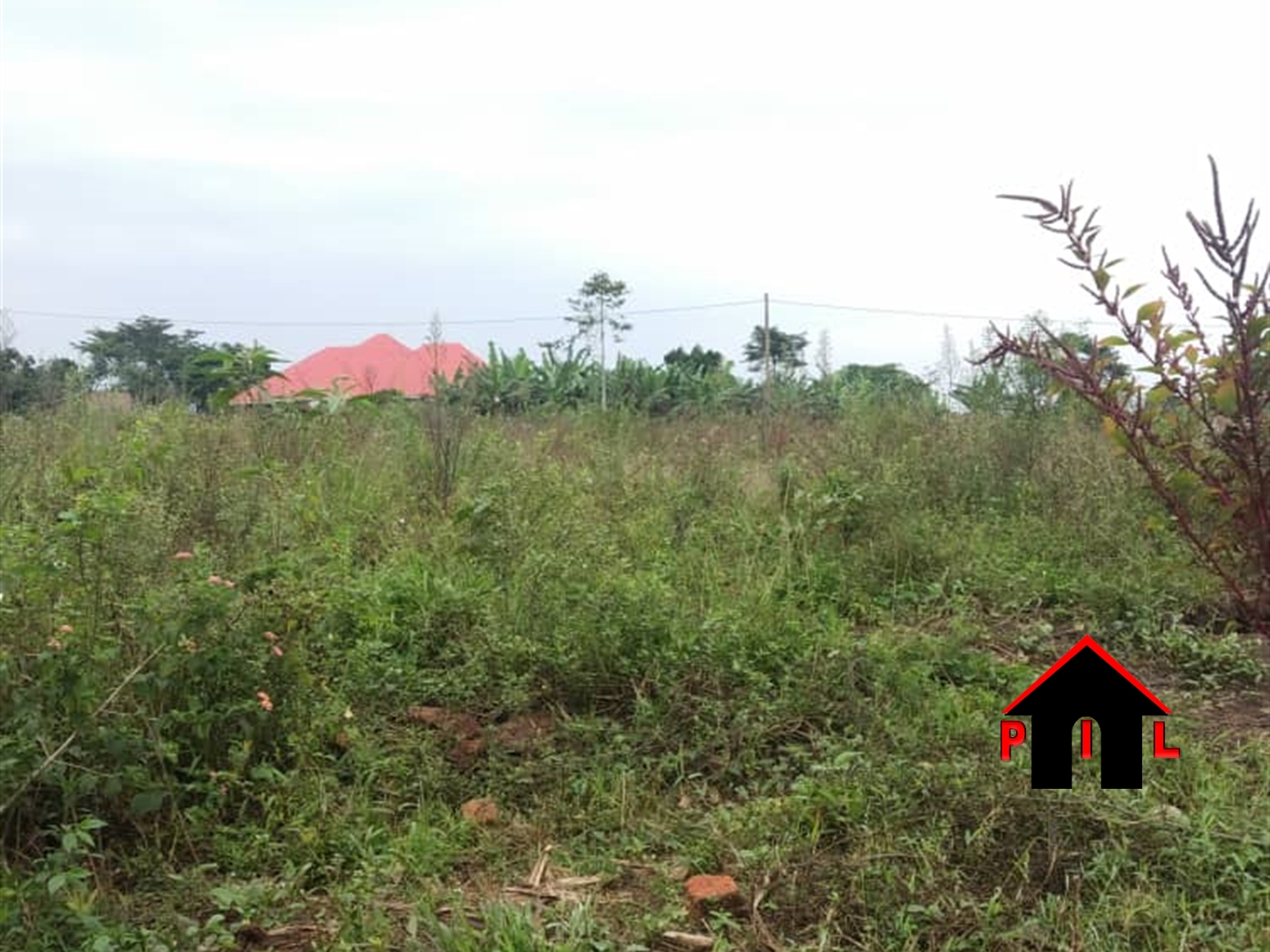 Residential Land for sale in Sala Wakiso
