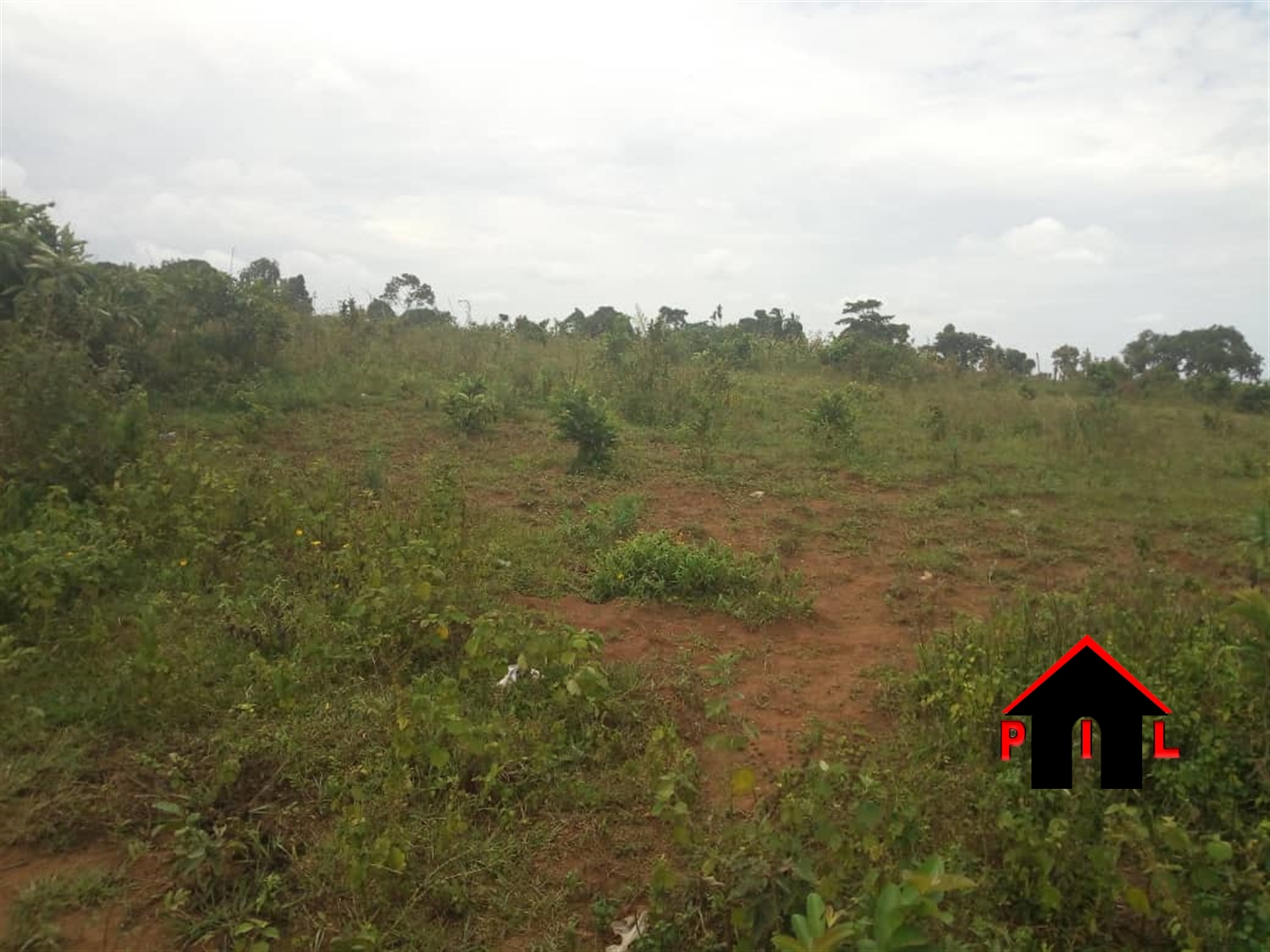 Commercial Land for sale in Nkozi Masaka