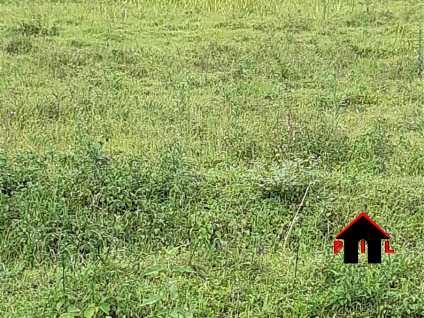 Commercial Land for sale in Bukeelele Mukono