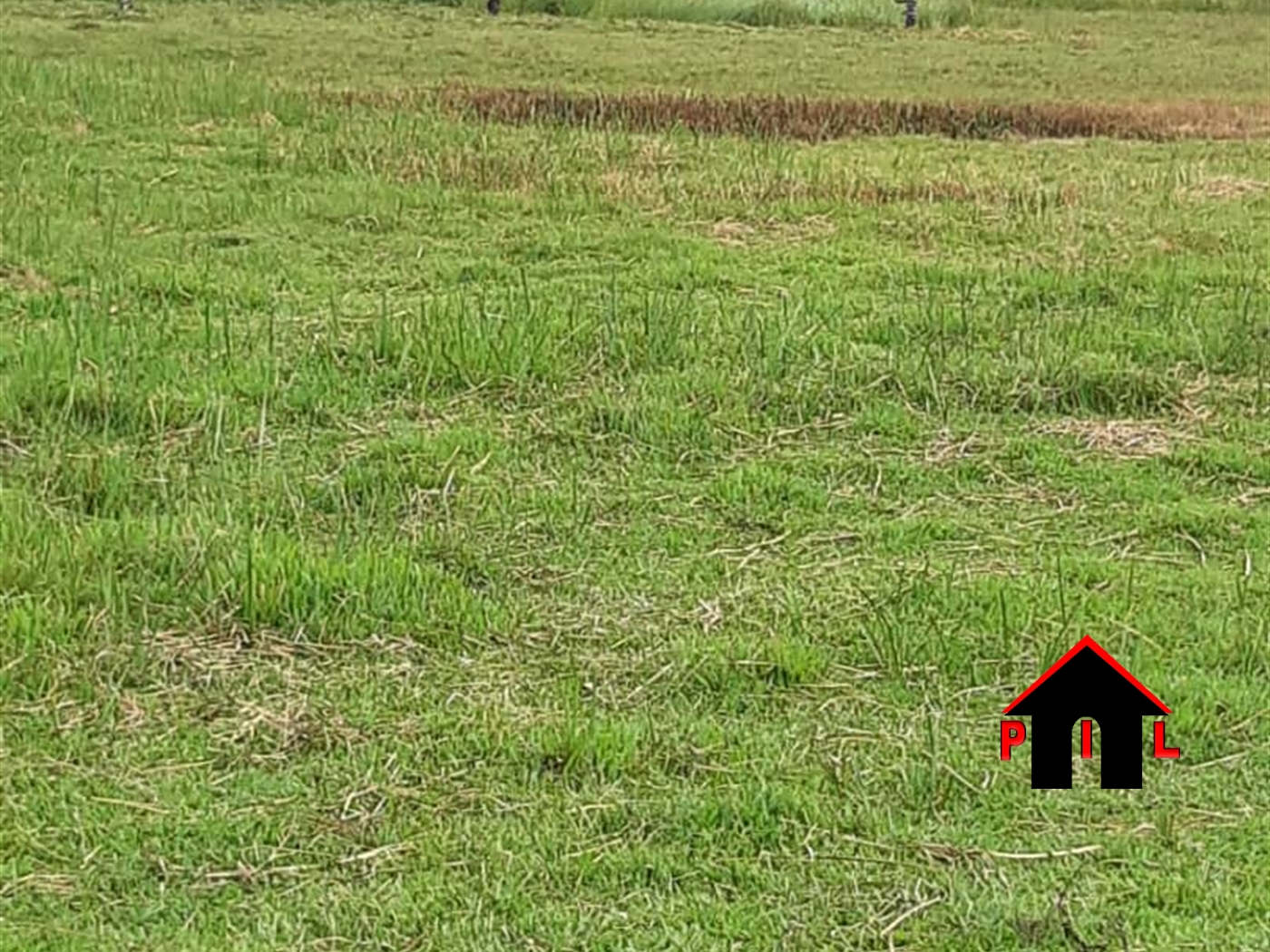 Commercial Land for sale in Bukeelele Mukono