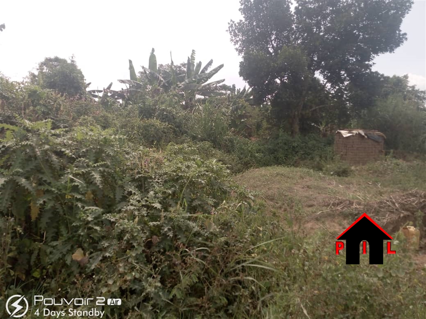 Agricultural Land for sale in Ssanga Wakiso