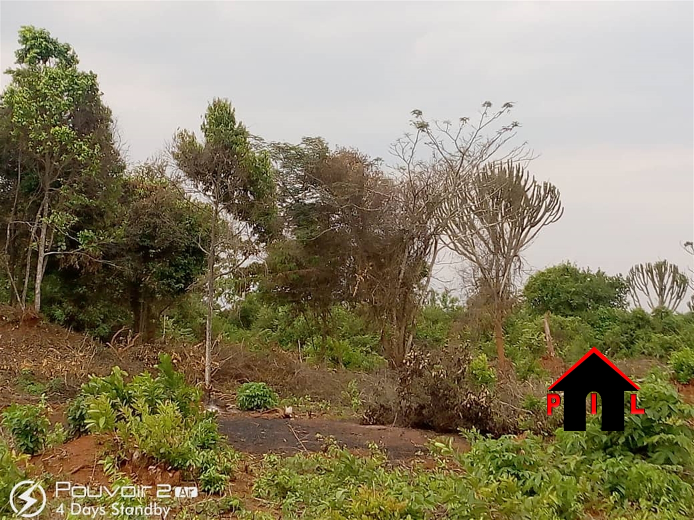 Commercial Land for sale in Rwamawungu Nakaseke