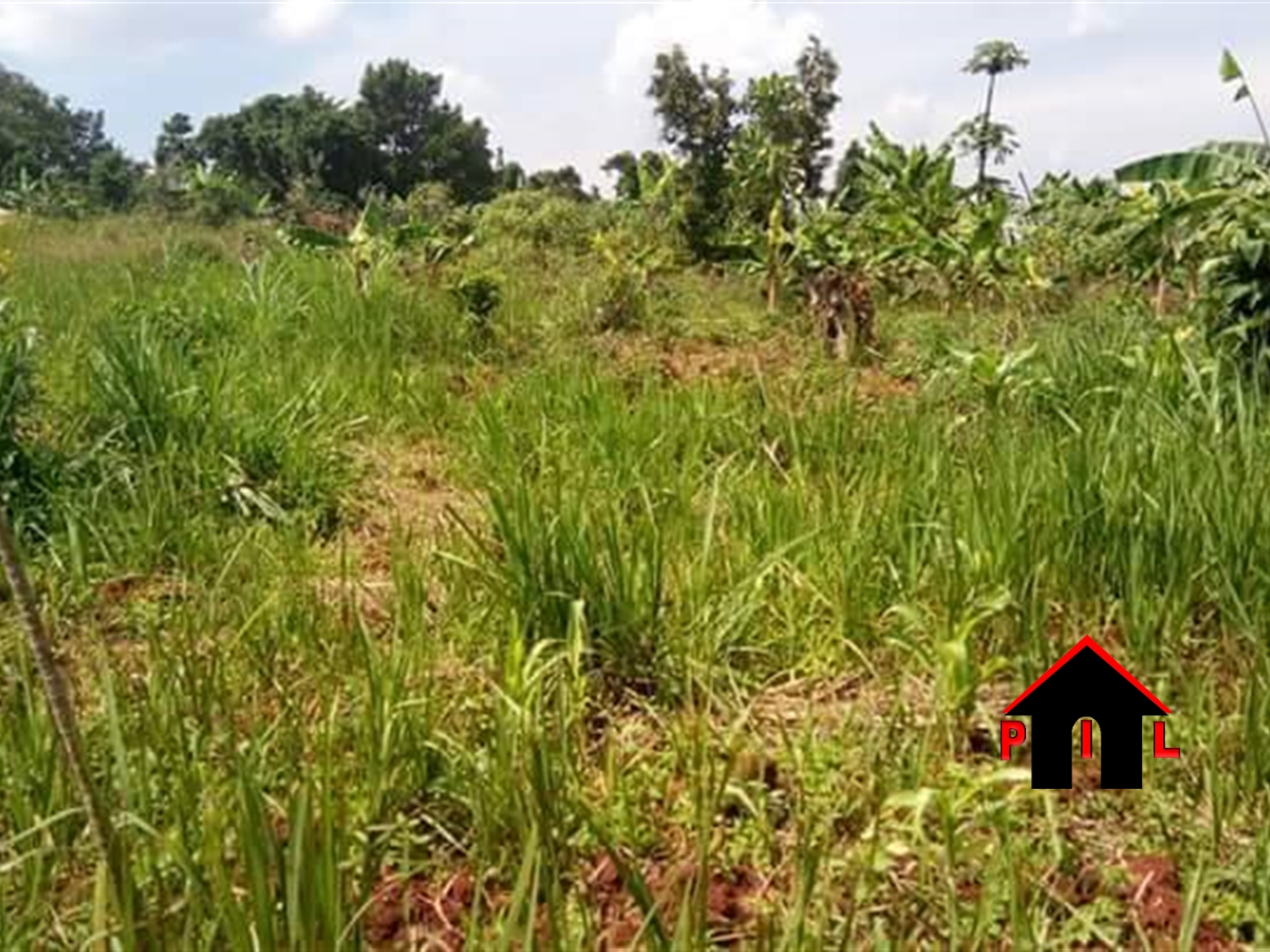 Agricultural Land for sale in Kitega Mukono