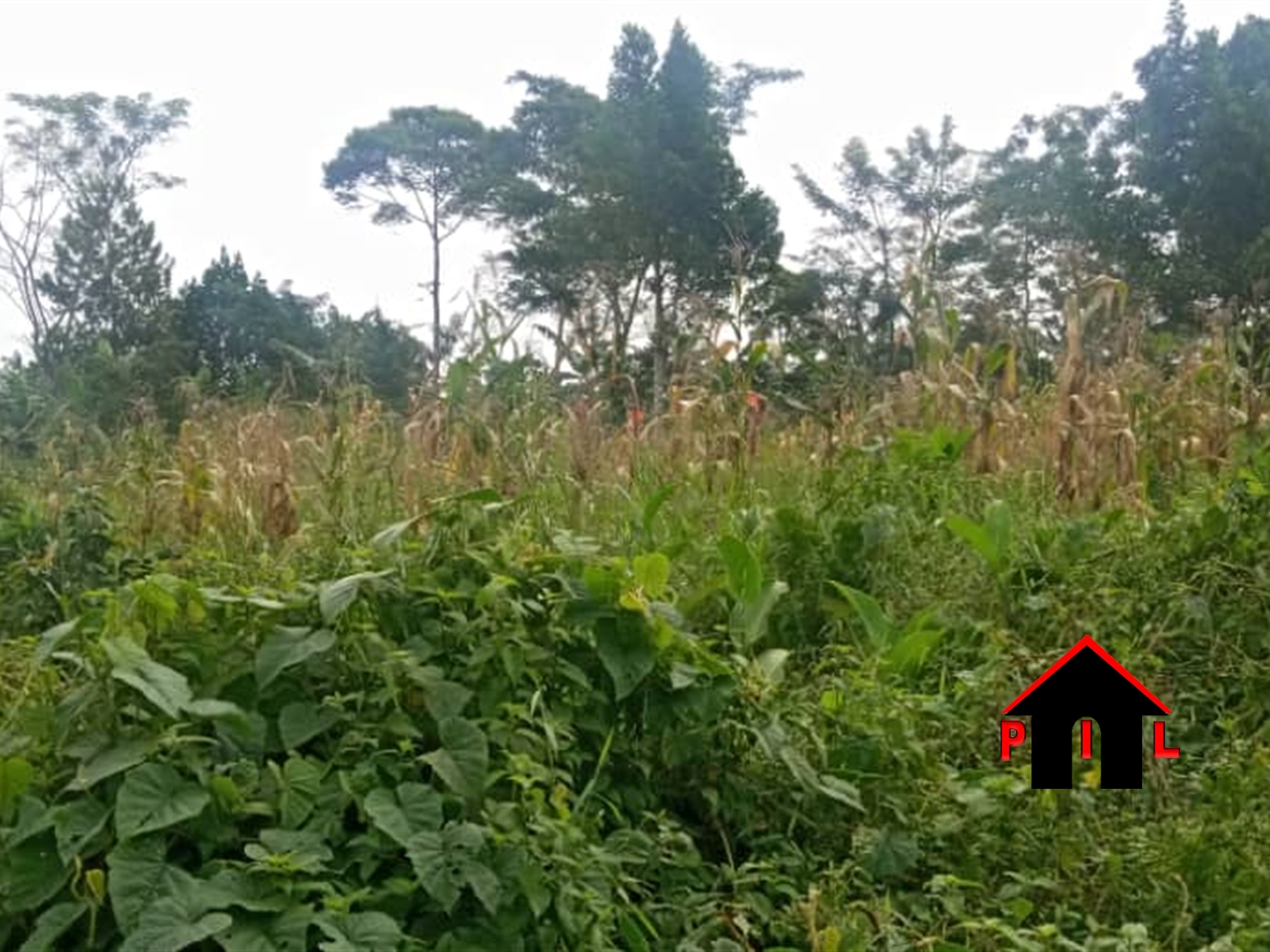 Residential Land for sale in Namayina Wakiso