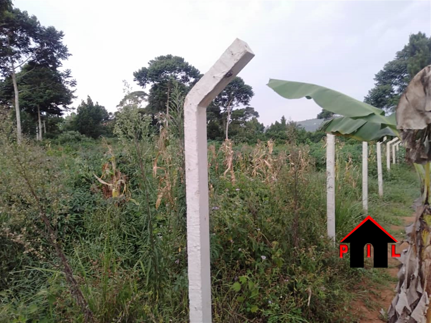 Agricultural Land for sale in Lukaya Wakiso