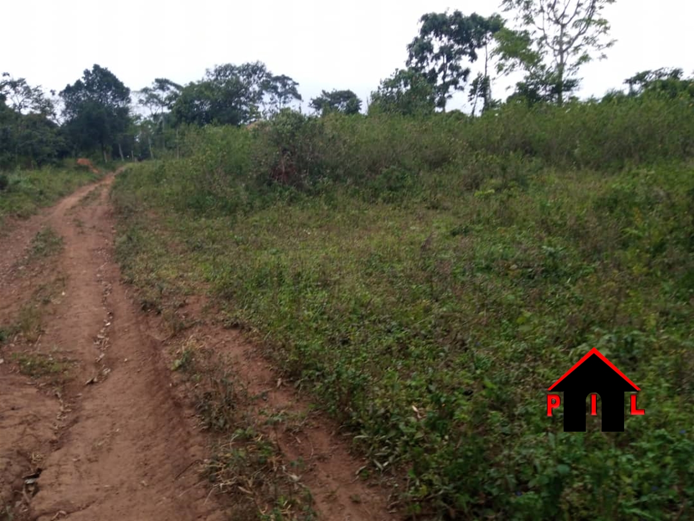 Agricultural Land for sale in Busujju Wakiso