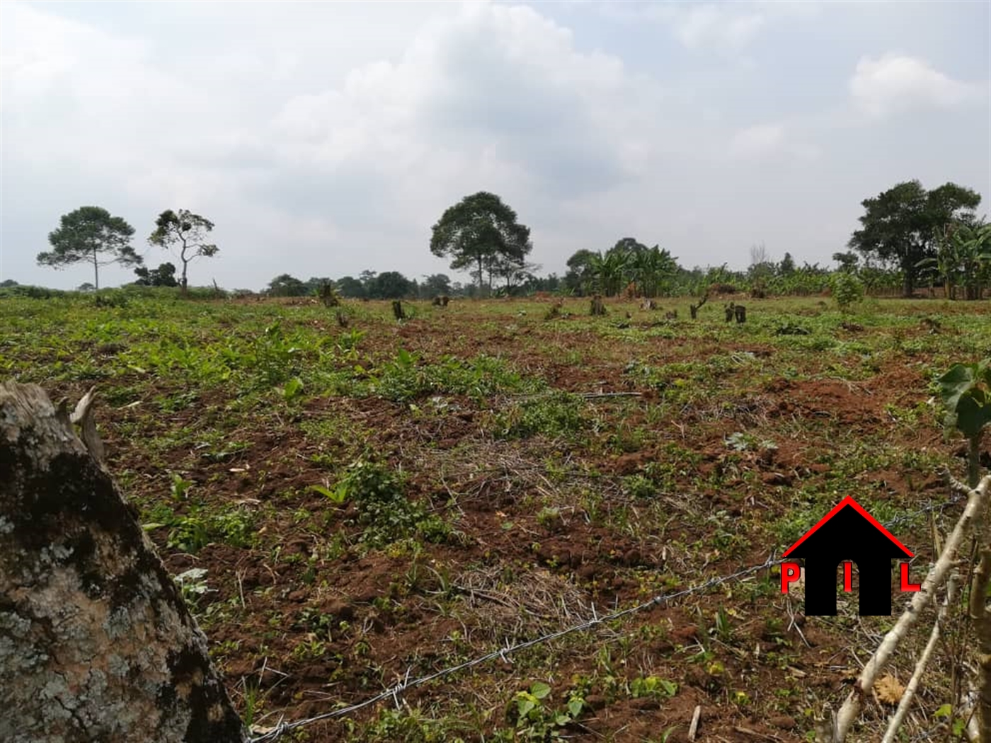 Residential Land for sale in Manyangwa Wakiso