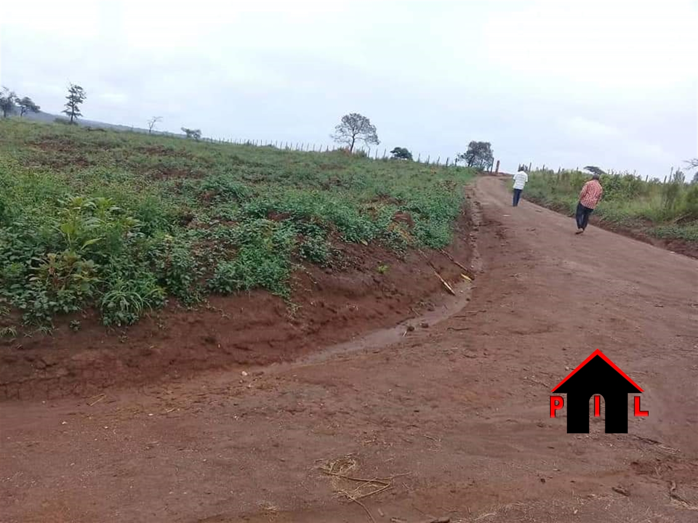 Residential Land for sale in Kigunga Mukono